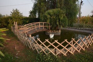 Un puente de madera sobre un estanque con un cisne, rodeado de follaje y una cerca.
