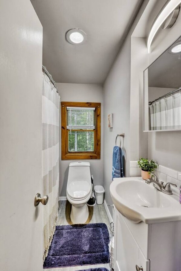 Et badeværelse med toilet, vask, vindue og en blå måtte.