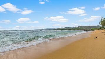 Playa