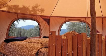 Ottagono – Your Elegant Nature Retreat in the Tuscan Olive Grove