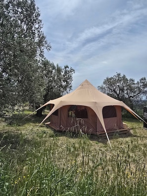 Exterior - Ottagono – Your Elegant Nature Retreat in the Tuscan Olive Grove (Toscana)