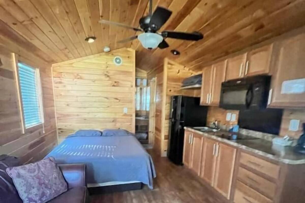 Interior de una cabaña con una cama, ventilador de techo, paredes de madera, zona de cocina y una ventana.