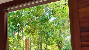 A window with a view of a hammock, trees, and a grassy area.