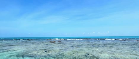 Beach/ocean view