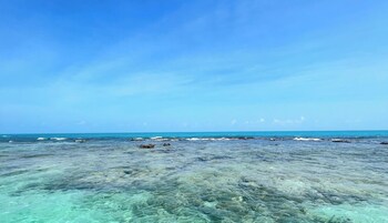 Vista para praia/oceano