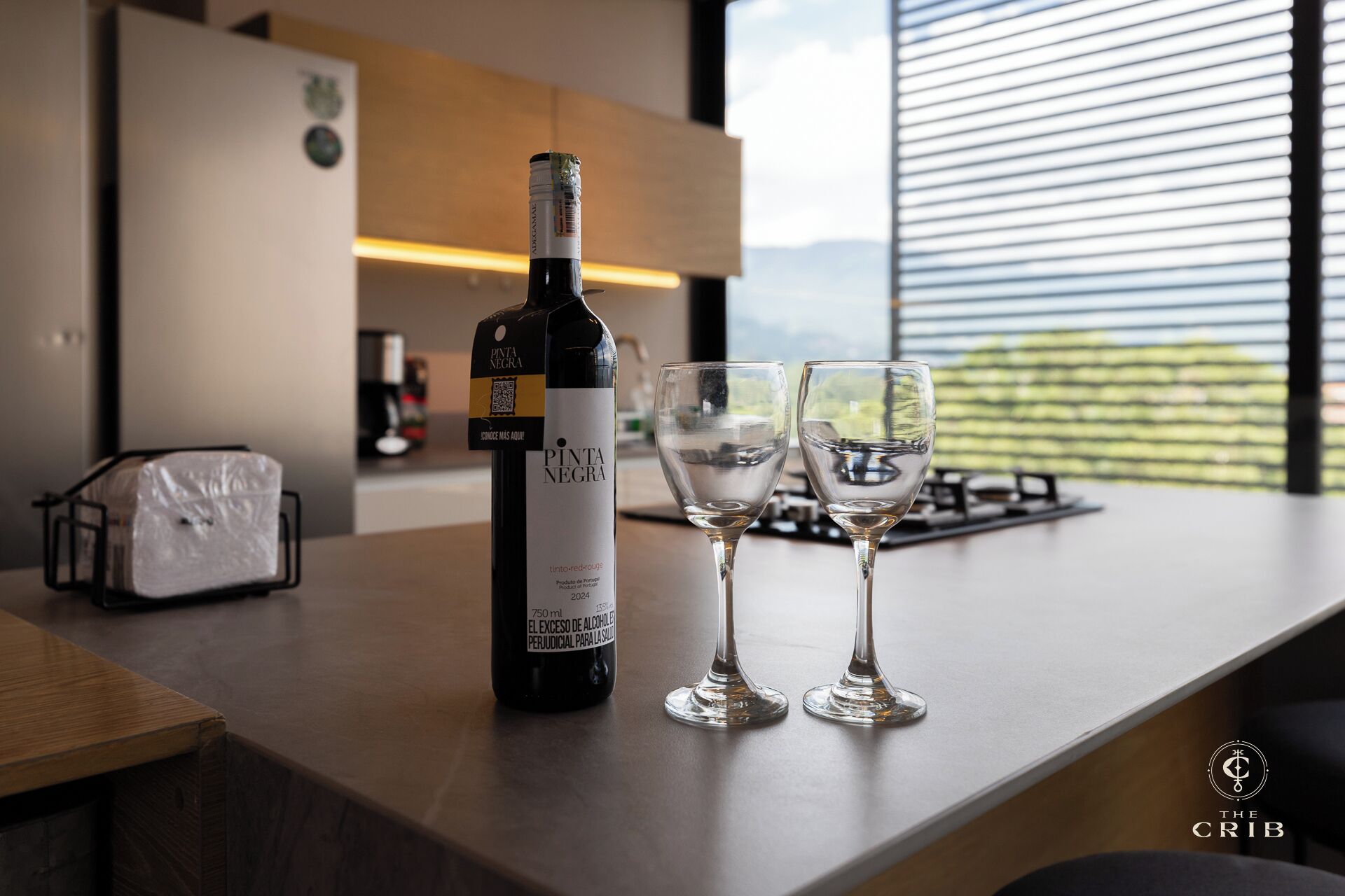 A bottle of Pinta Negra wine and two glasses on a kitchen counter with a view of the outdoors.