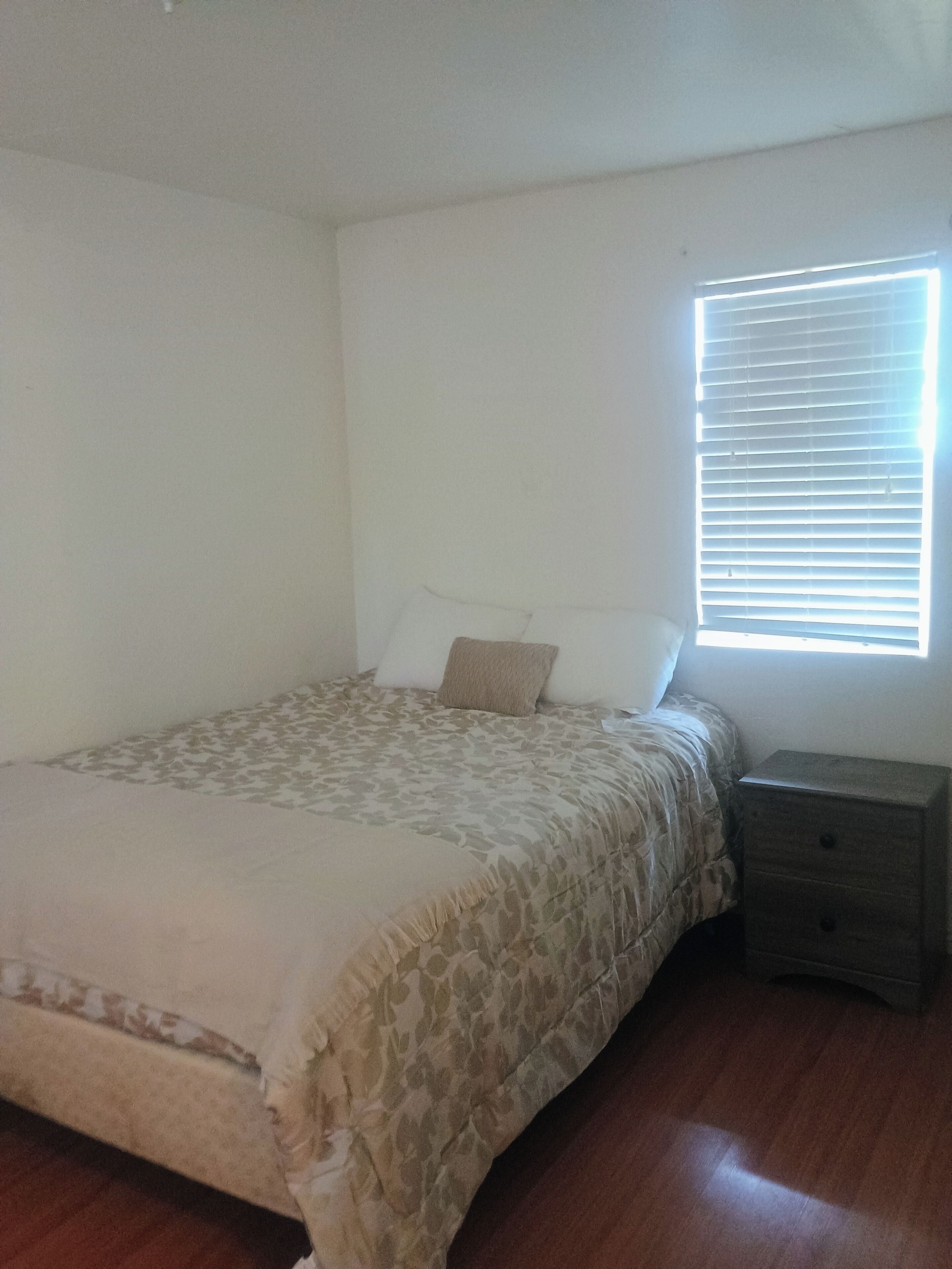 Standard Single Room, Garden View