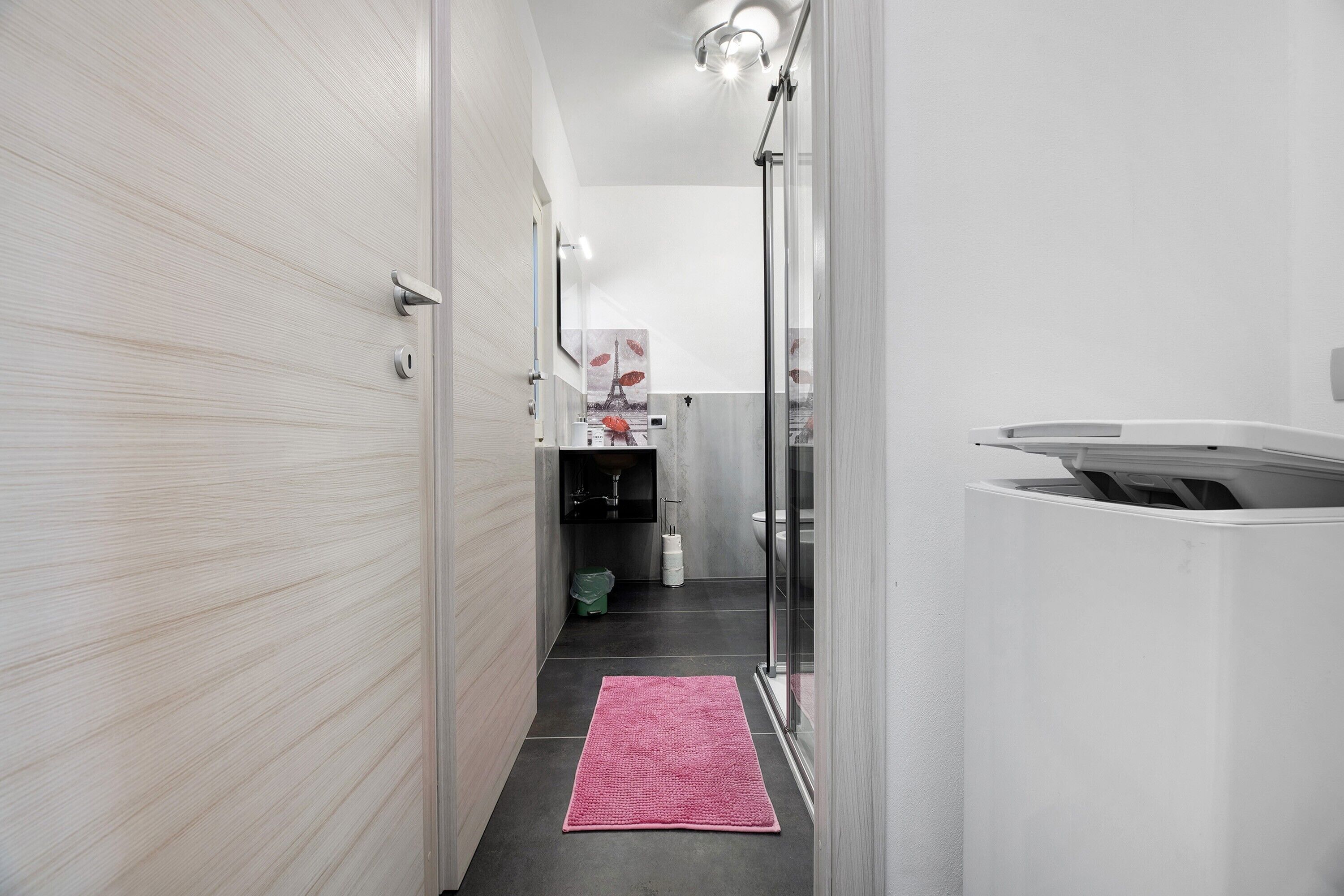 Un couloir étroit avec un tapis rose, une cabine de douche en verre et une vue sur une salle de bain équipée de toilettes et d’un lavabo.