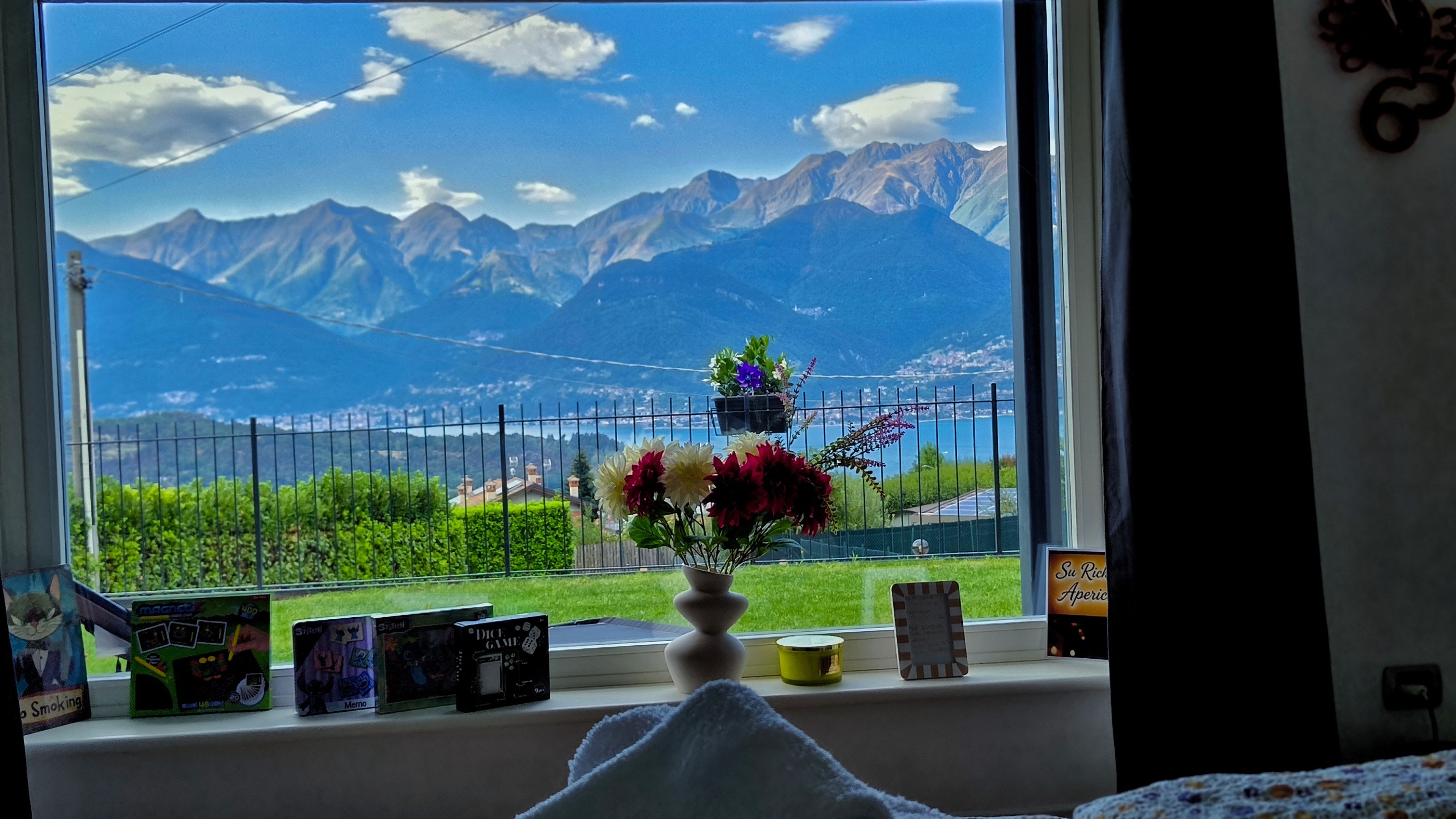 A window view of a mountainous landscape with a fence, a flower arrangement, and some items on the windowsill.