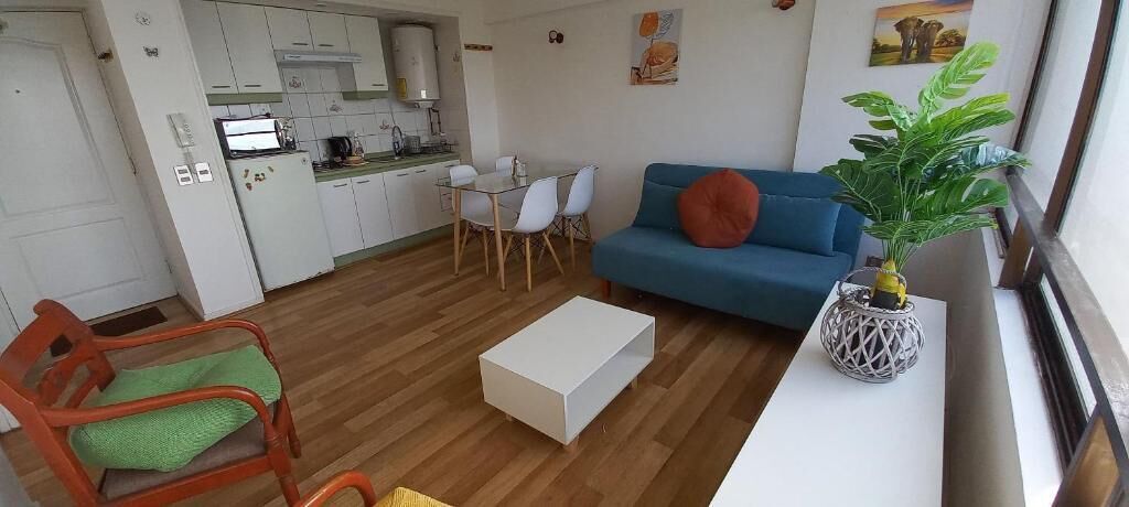 Een woonkamer met een bank, een eettafel met stoelen, een keukenhoek en een plant op een tafel.