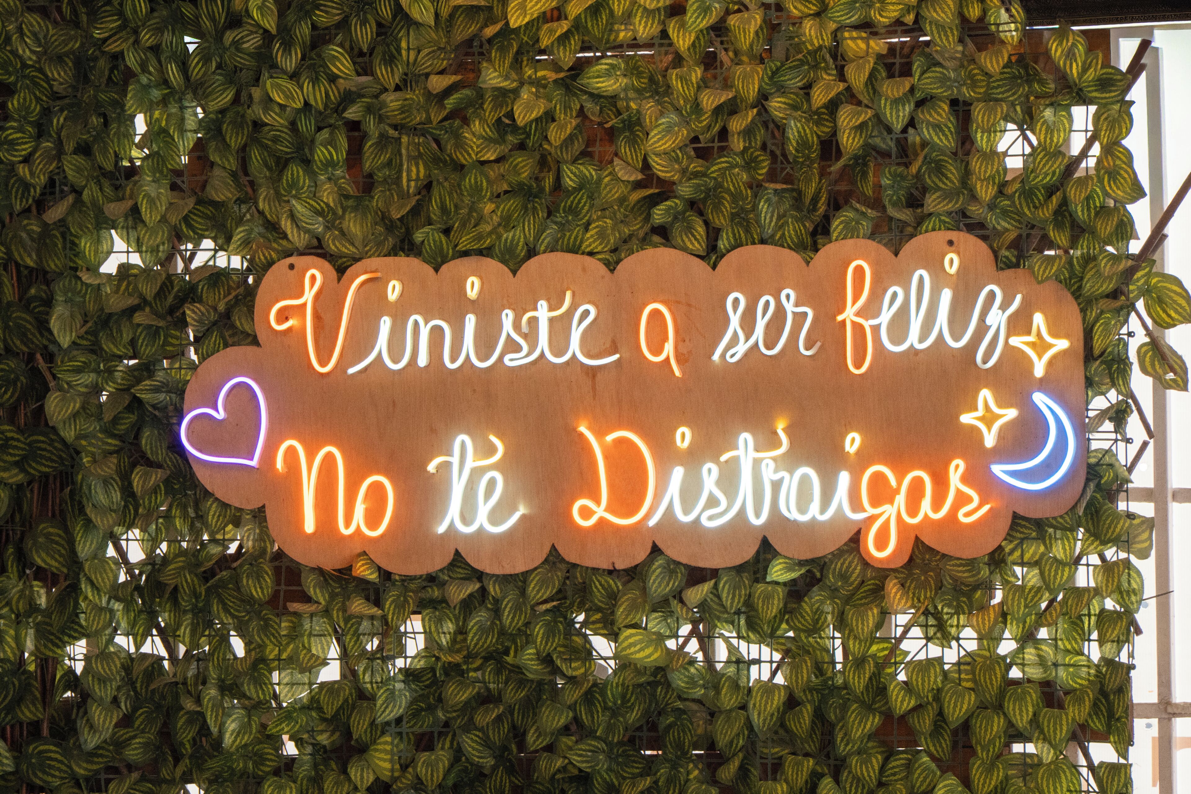 A neon sign with a message in Spanish, surrounded by a wall of artificial foliage.