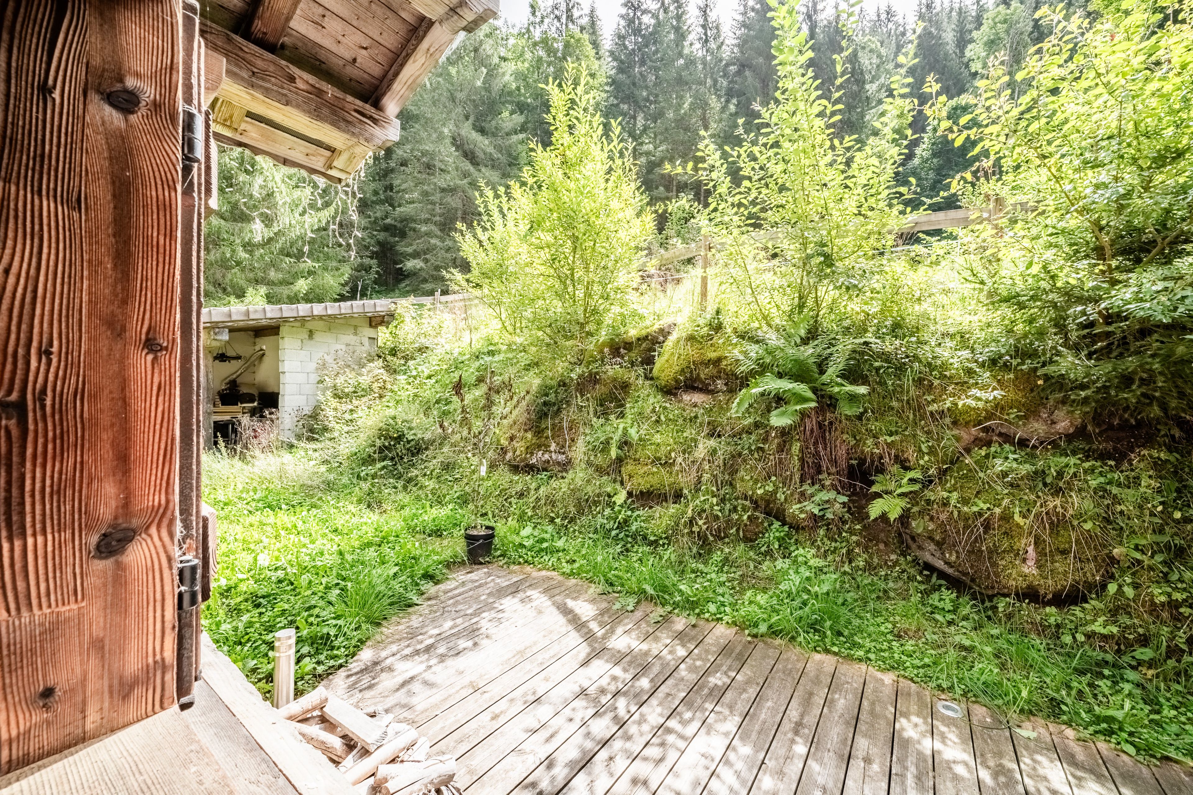 Una terraza de madera conduce a una cabaña rústica con vistas a un bosque denso.