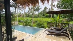 A poolside area with a thatched roof, lounge chairs, and a view of a lush garden.