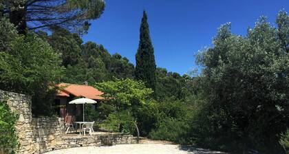 Perfect 3-bedroom cottage in charming Bargemon for your getaway