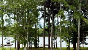A grassy area with trees and a dock extending into a body of water. - The Shakonohey on Weiss Lake (Centre)