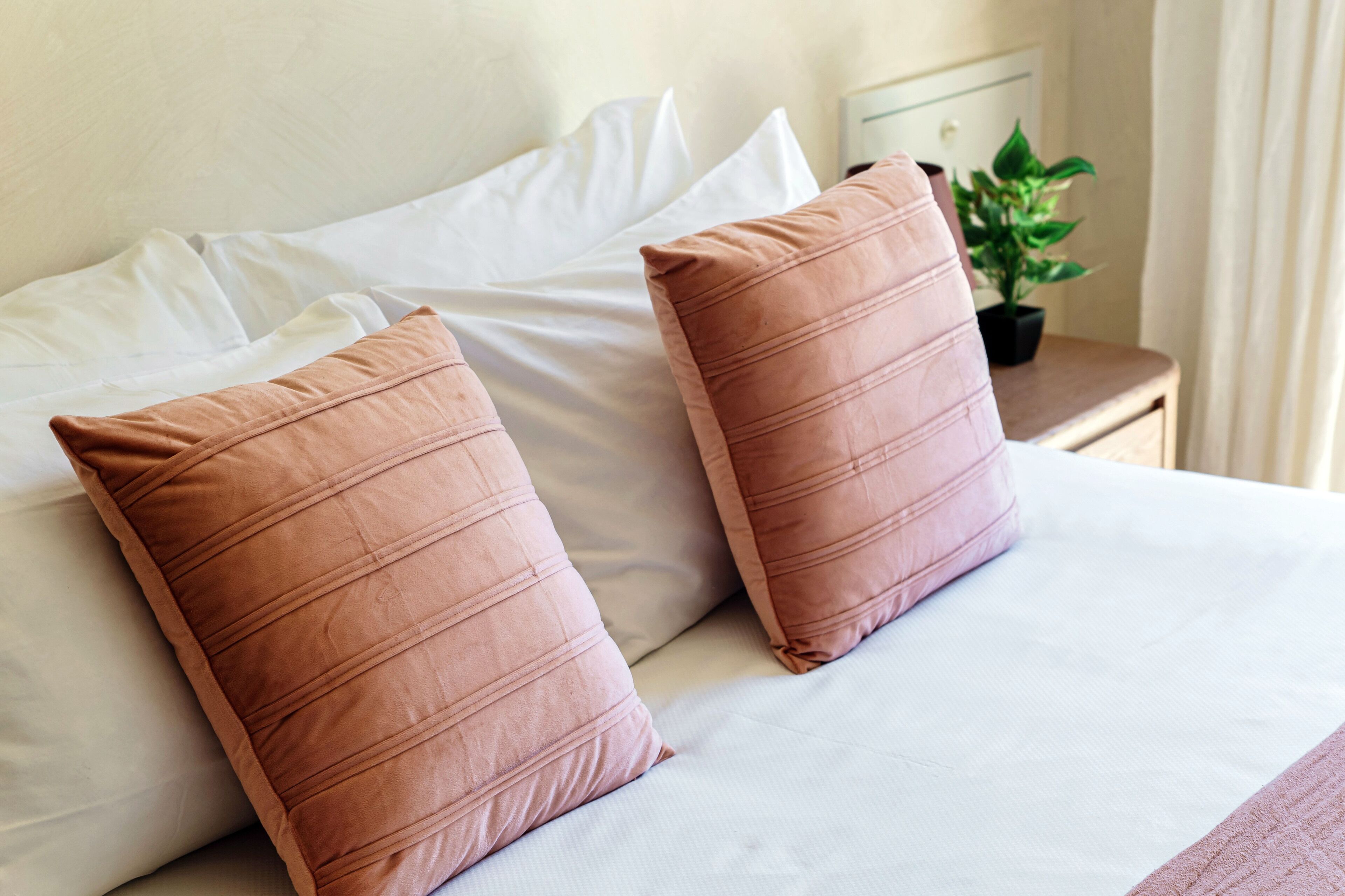Una cama con dos almohadas, una mesita de noche con una planta y un cajón.