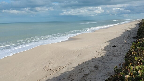 Ein Strand mit sandigem Ufer, blauem Himmel und ruhiger See.