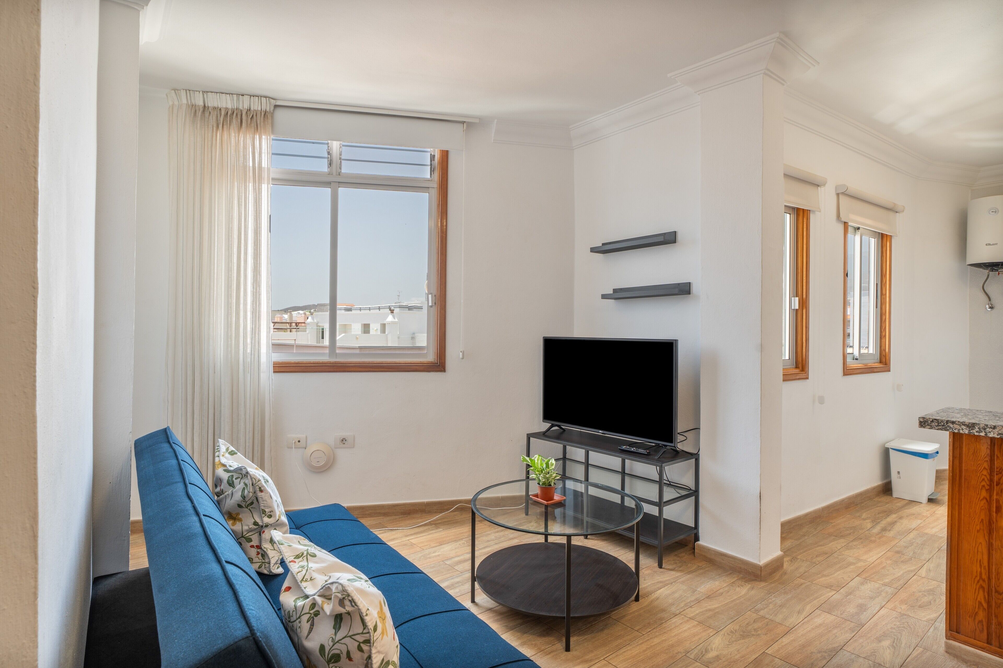 A modern living room with a sofa, a flat-screen TV, a glass coffee table, and a potted plant.