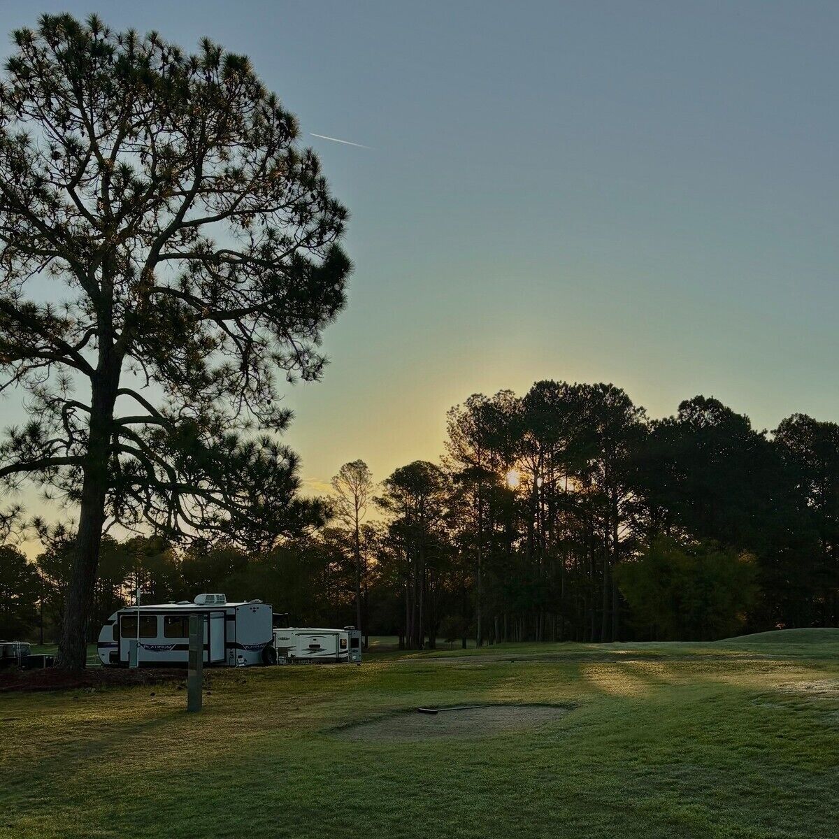 A campground with a large tree, a white RV, and a grassy field.