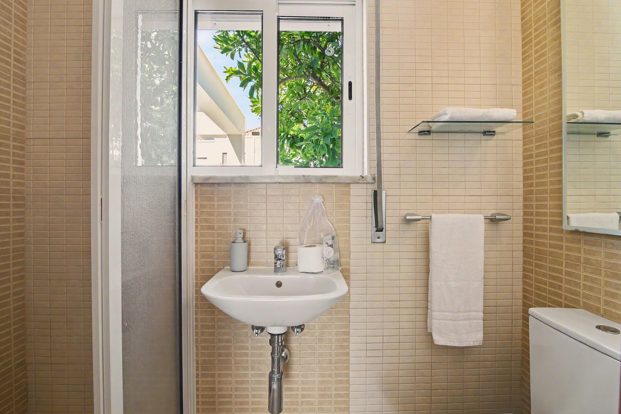 Shower, hair dryer, towels