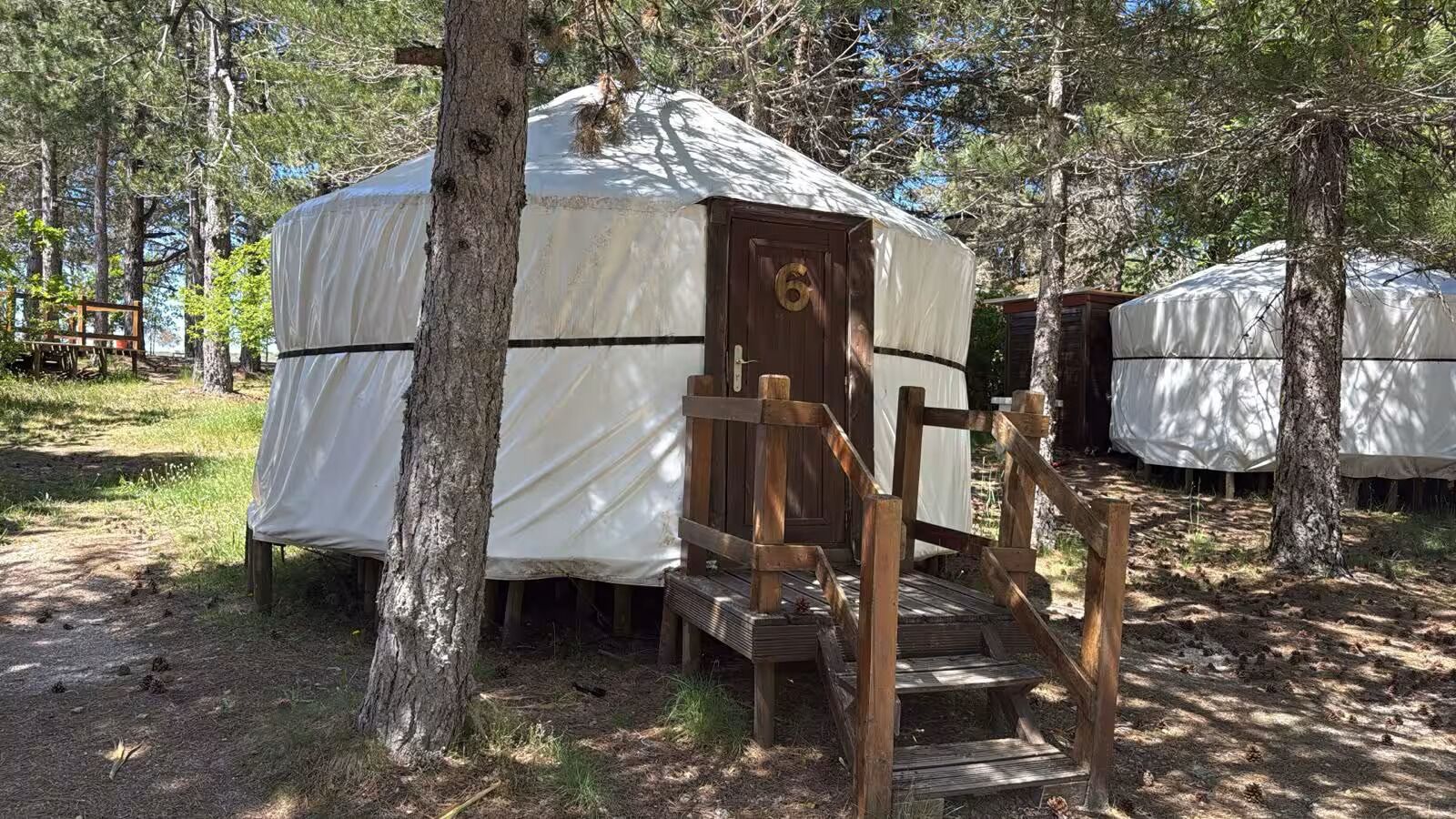 A yurt with a wooden door and a ramp leading to the entrance, surrounded by trees.