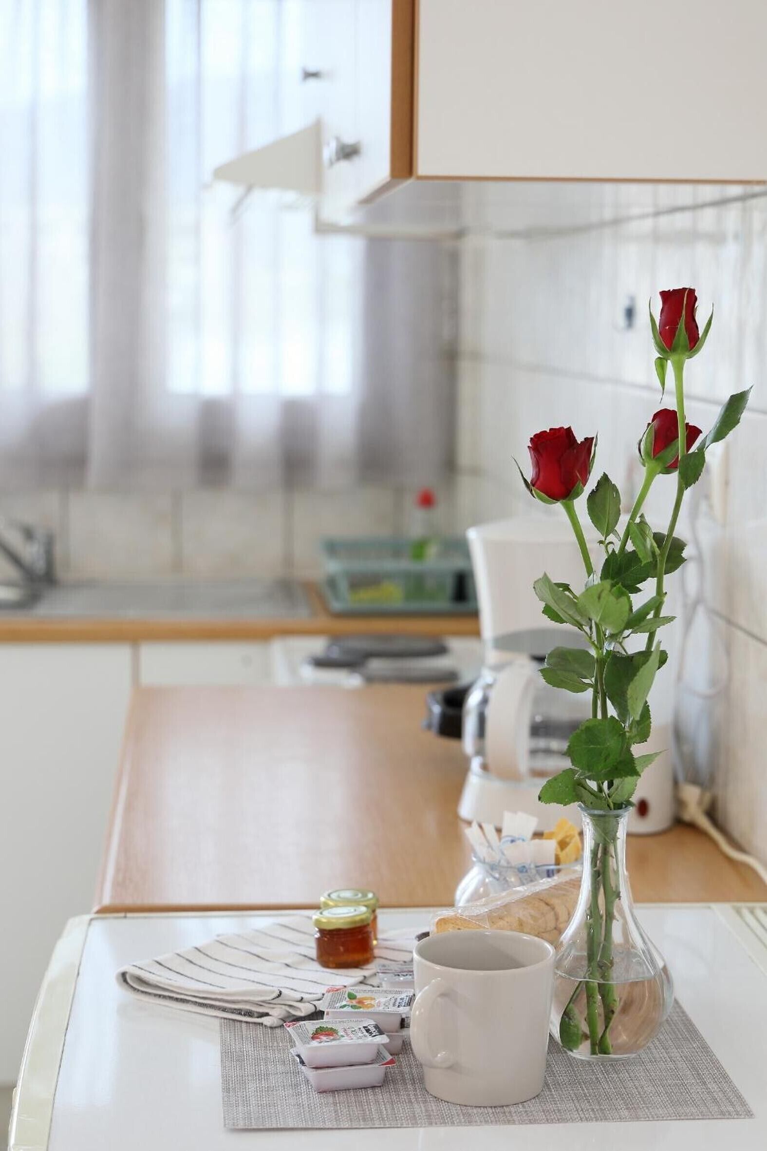 Fridge, oven, stovetop, coffee/tea maker
