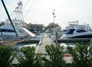 Un port de plaisance où sont amarrés plusieurs yachts, un ciel dégagé et quelques bâtiments en arrière-plan.