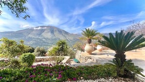 Un giardino curato con piante in vaso, una palma e una montagna sullo sfondo.