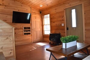 Interior de una cabaña de madera con una televisión montada en la pared, una chimenea y un banco con una planta en maceta.