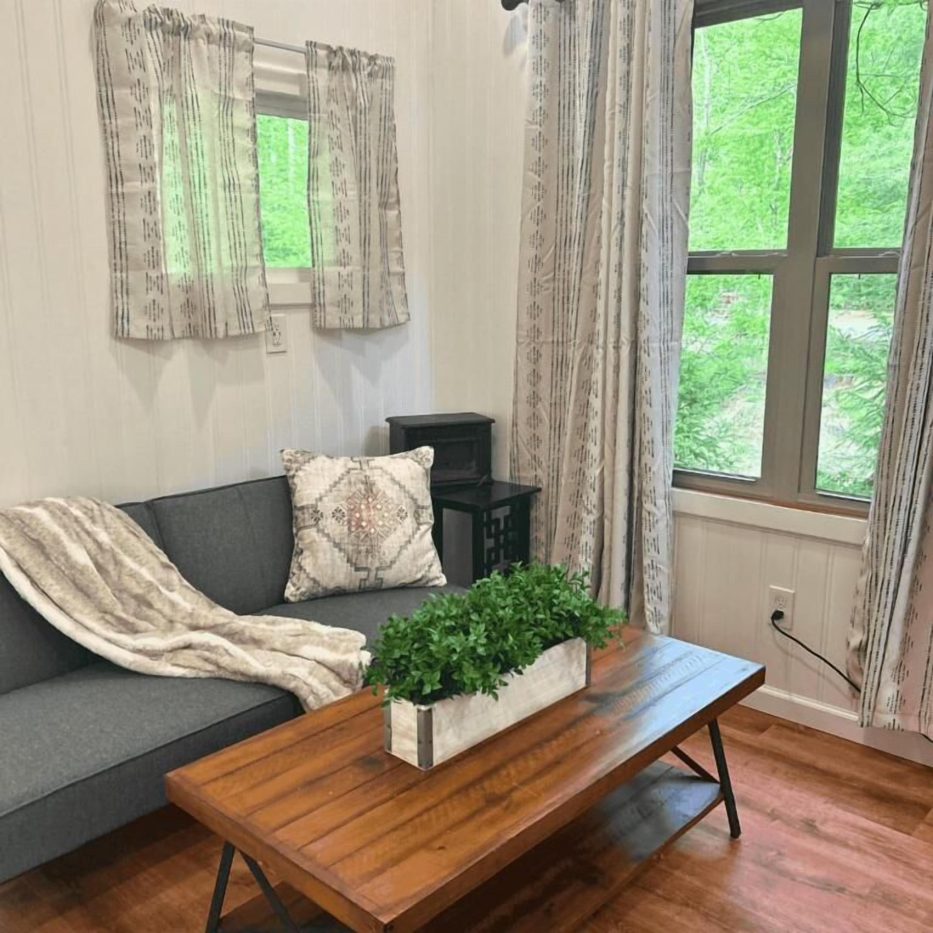 Une pièce comprenant un canapé, une table basse en bois avec une plante, une petite table noire et une fenêtre avec des rideaux.