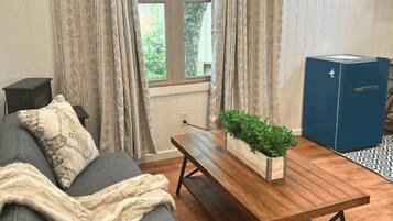 Una habitación con un sofá gris, una mesa de centro de madera con una planta y un armario azul.