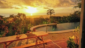 A pool with a curved edge, surrounded by lush vegetation and a wooden bench. - Casa Infinity | Hilltop Ocean-View | 42' Infinity Pool | Near Manuel Antonio (Portalon)