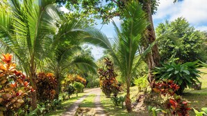 A pathway flanked by lush greenery and palm trees, leading through a tropical garden. - Casa Infinity | Hilltop Ocean-View | 42' Infinity Pool | Near Manuel Antonio (Portalon)