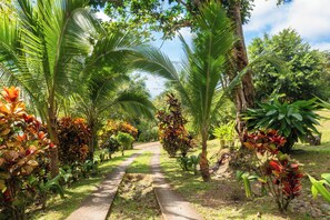 A pathway flanked by lush greenery and palm trees, leading through a tropical garden. - Casa Infinity | Hilltop Ocean-View | 42' Infinity Pool | Near Manuel Antonio (Portalon)