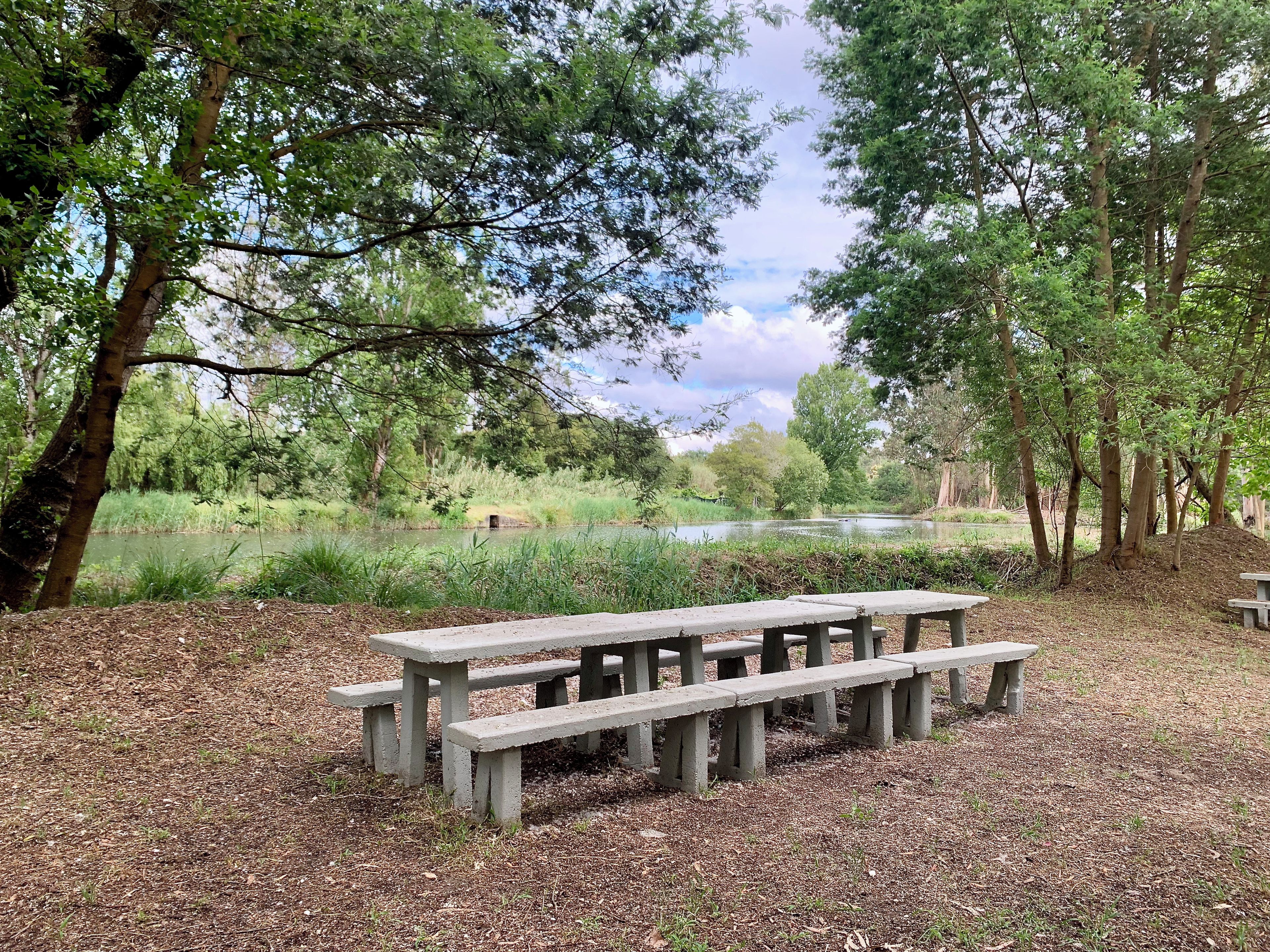A picnic table in a park with a pond and trees.