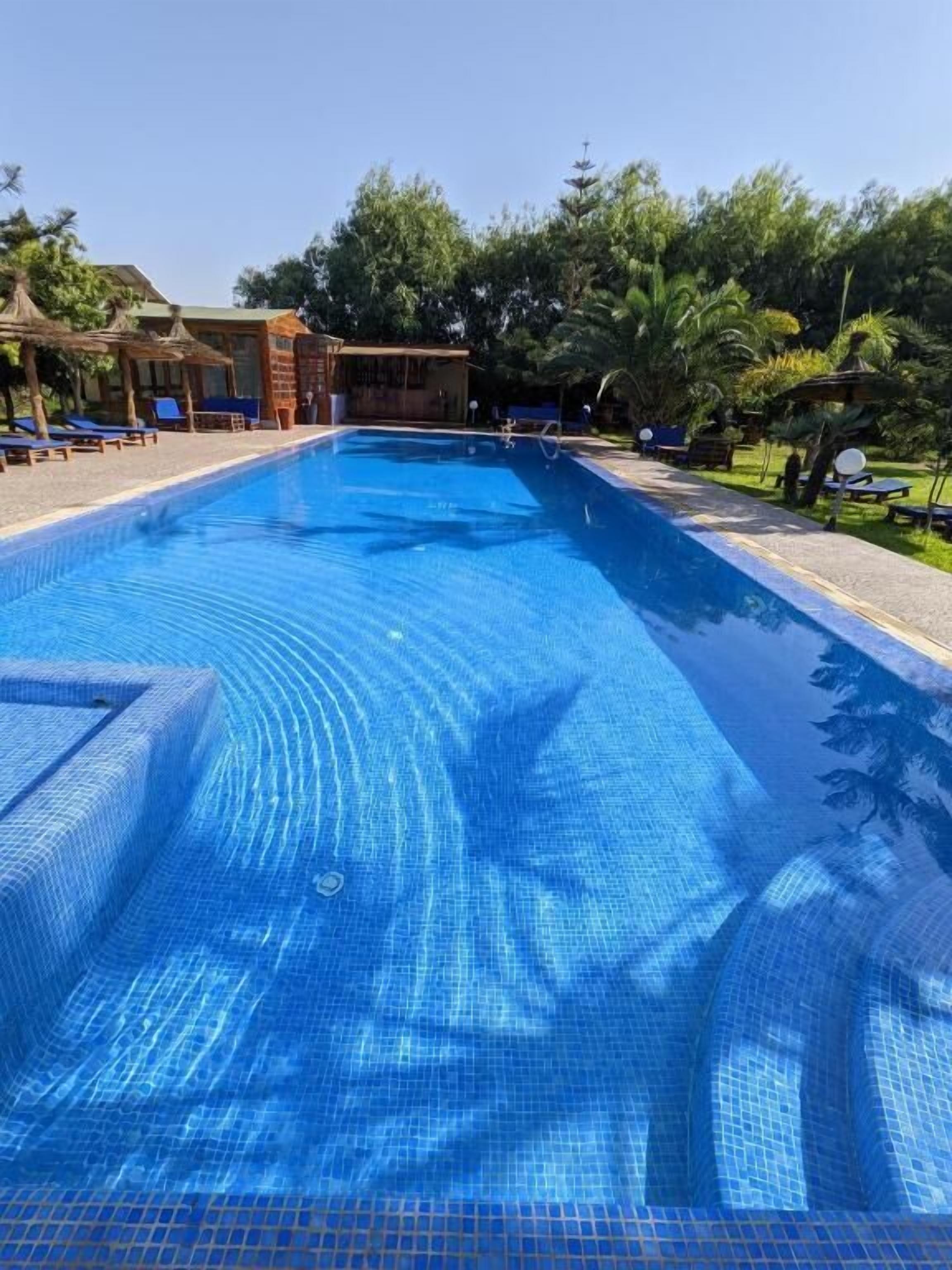 A swimming pool with clear blue water, surrounded by lounge chairs and palm trees.