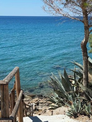 A wooden bench and agave plant by a rocky shoreline with clear blue sea.