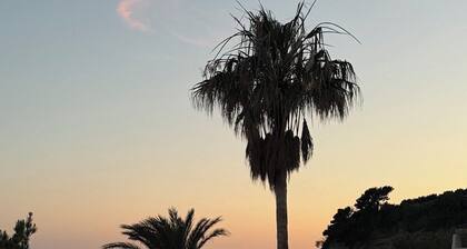 Luxury Seafront Villa Androniki | Private Beach Access