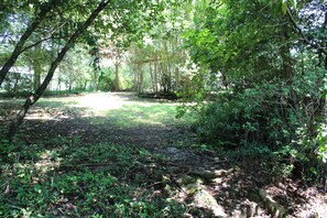 A forested area with a dirt path leading to a clearing.