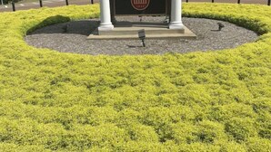 Placa de boas-vindas para Ole Miss, com estrutura em colunas clássicas e um jardim paisagístico.