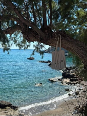 Escena de playa con agua azul cristalina, una rama de árbol y una bolsa colgando.