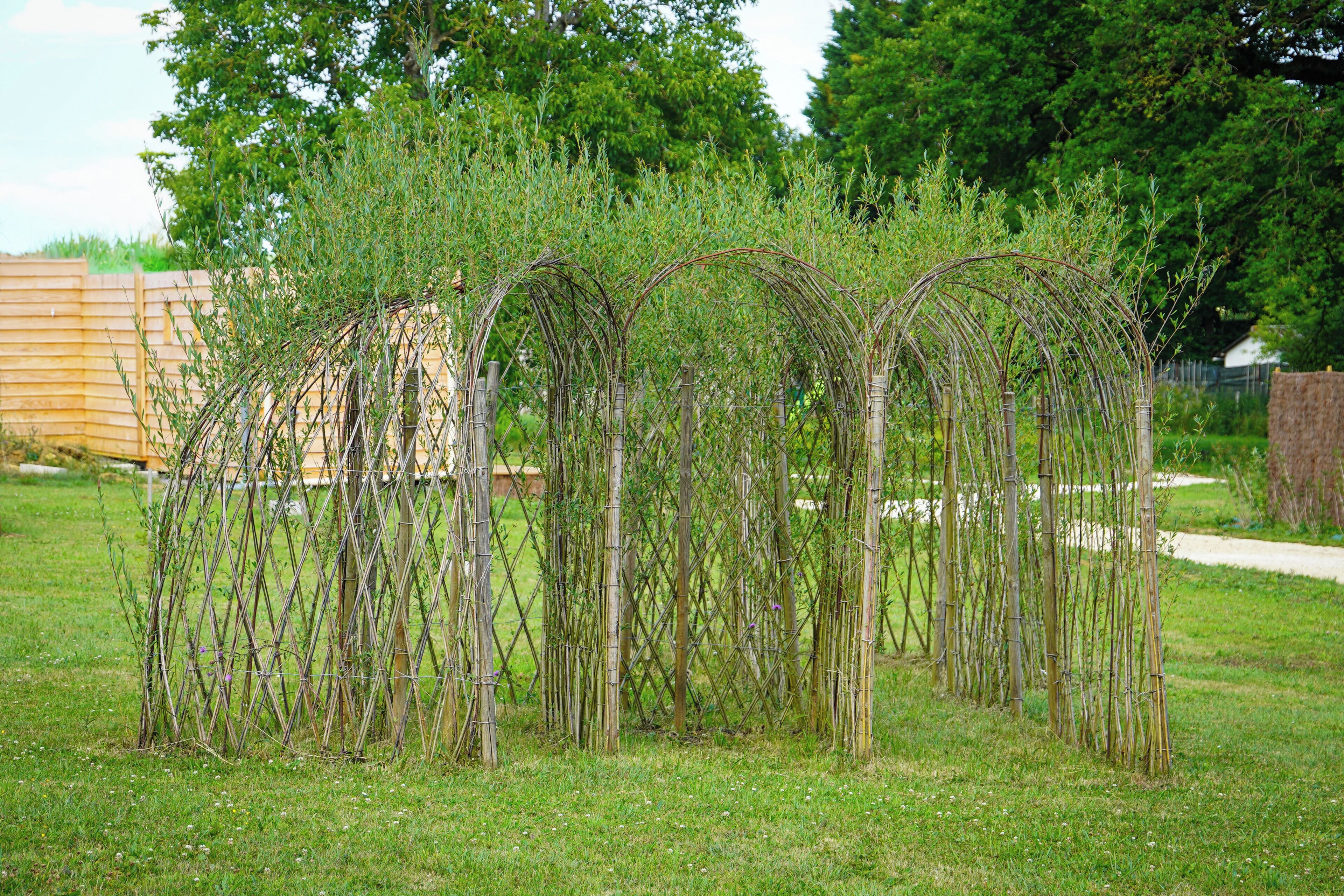 Parco della struttura