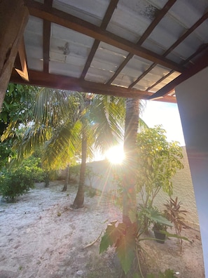 Property grounds - House on the River (Barra do Jacuipe)