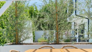 An outdoor patio with a wooden table and wicker chairs, surrounded by greenery and a white wall.