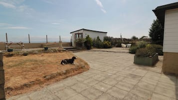 A backyard with a dog, a small shed, and a fenced area.