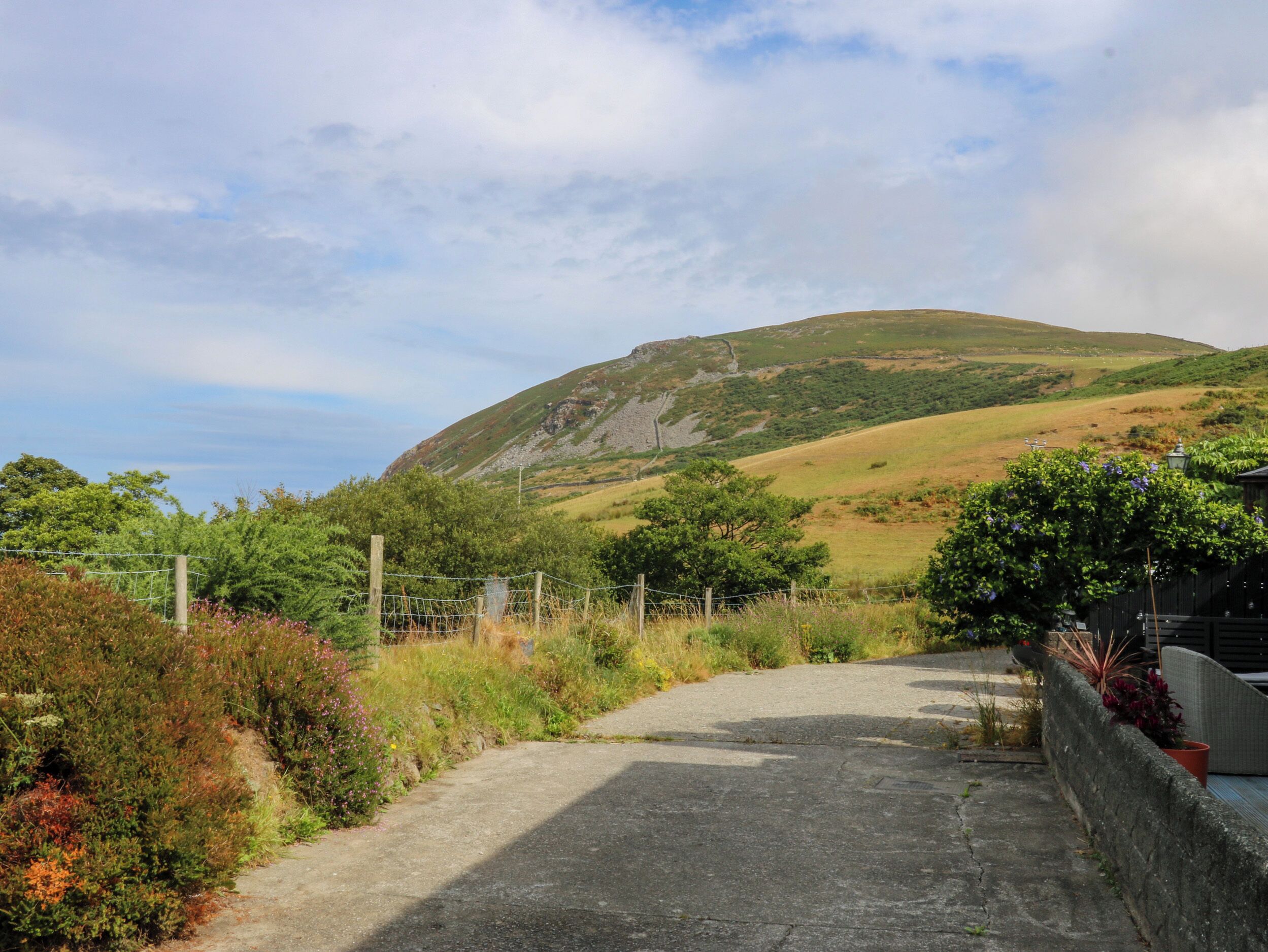 A rural landscape with a dirt path leading to a hill.