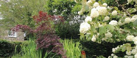 A garden with a variety of plants, a brick wall, and a stone pathway.