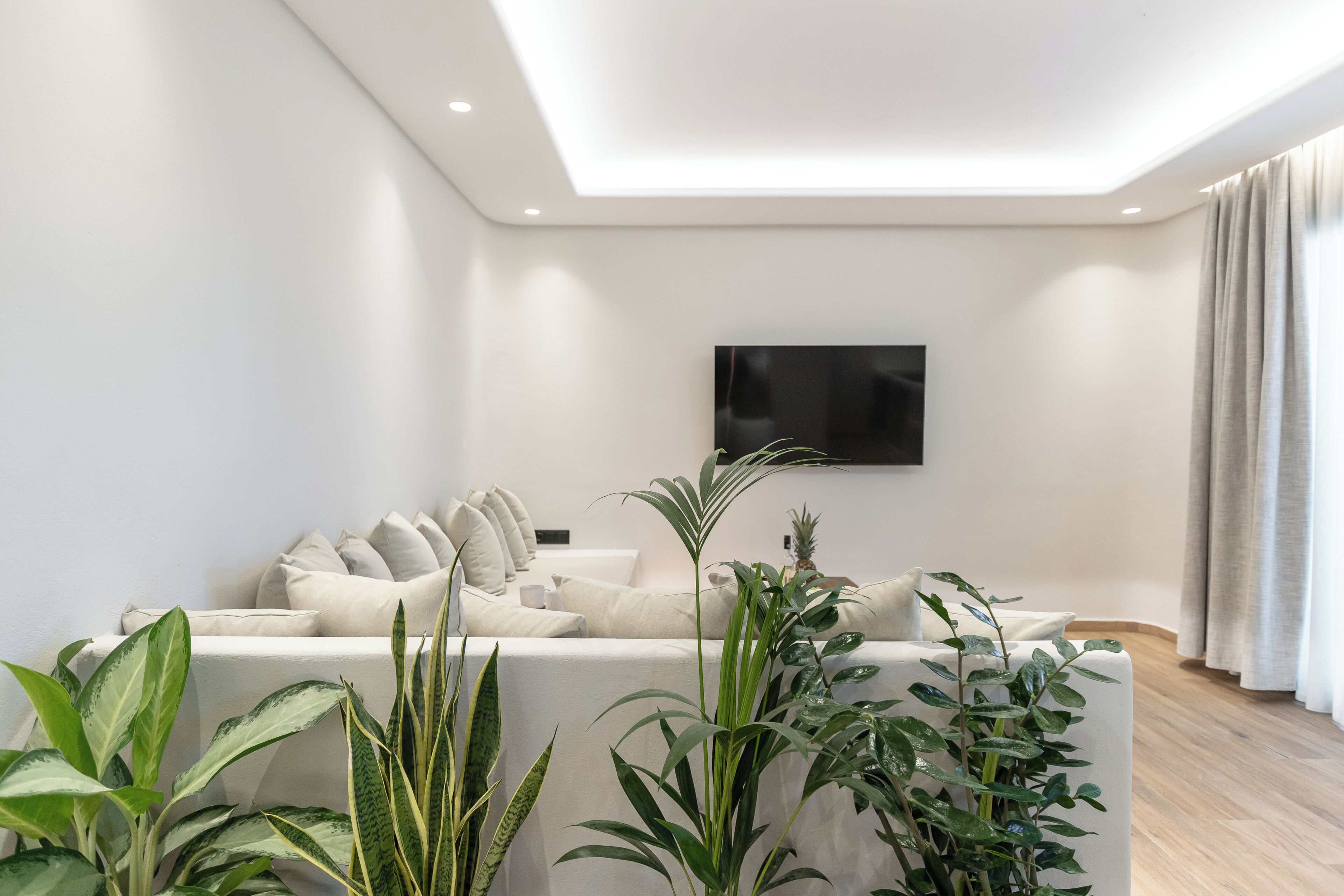 A modern living room with a sofa, plants, and a flat-screen TV mounted on the wall.