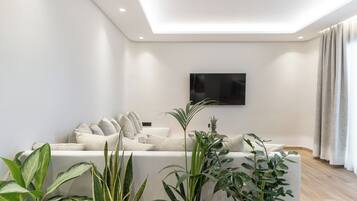 A modern living room with a sofa, plants, and a flat-screen TV mounted on the wall.