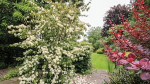 Een tuin met witte bloeiende struiken, een pad van stenen en diverse groene hagen.